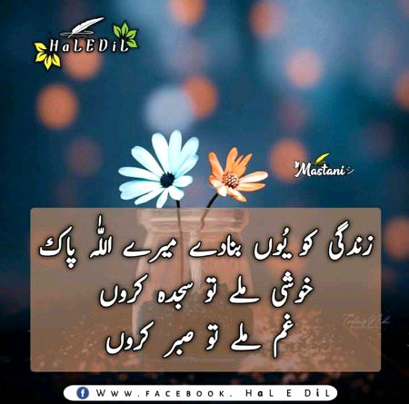 Islamic Quotes image