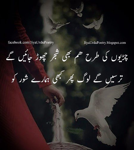Social media post