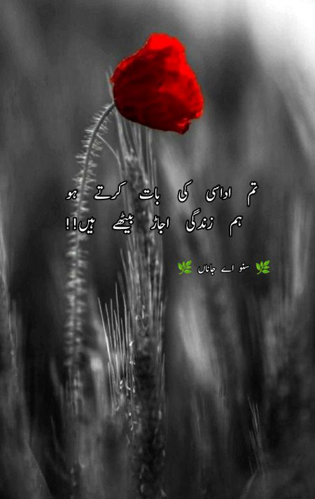 Sad Poetry image