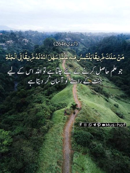 Islamic Quotes image