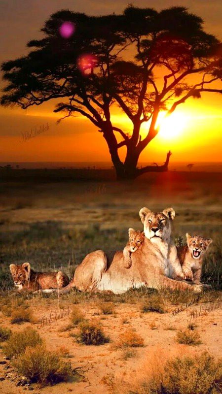 Beautiful Nature image