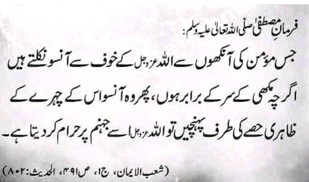 Islamic Quotes image