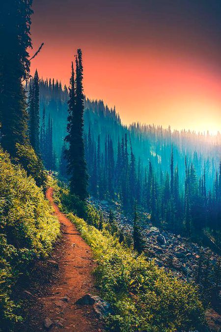 Beautiful Nature image