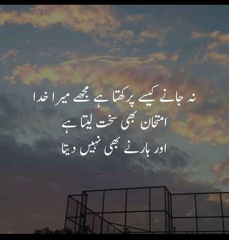 Islamic Quotes image