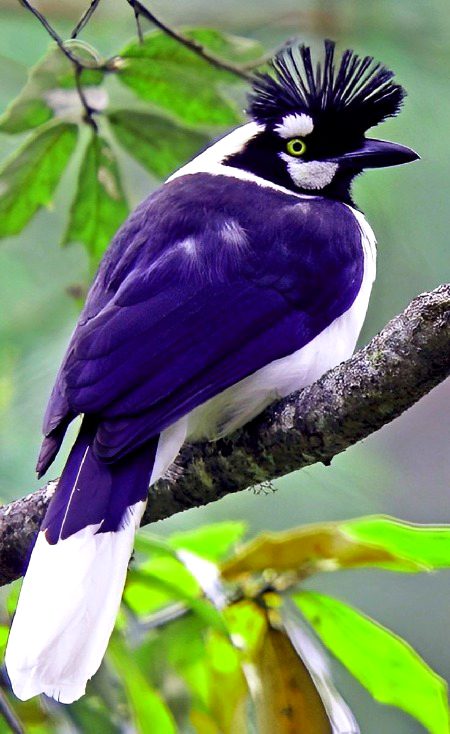 Beautiful Nature image