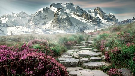 Beautiful Nature image
