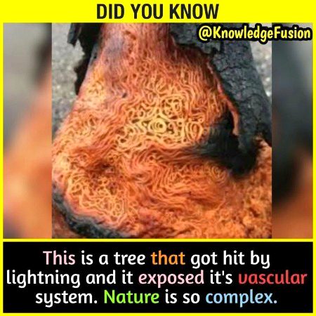 Interesting Posts image