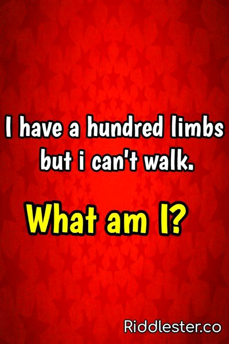 Riddles & Puzzles image