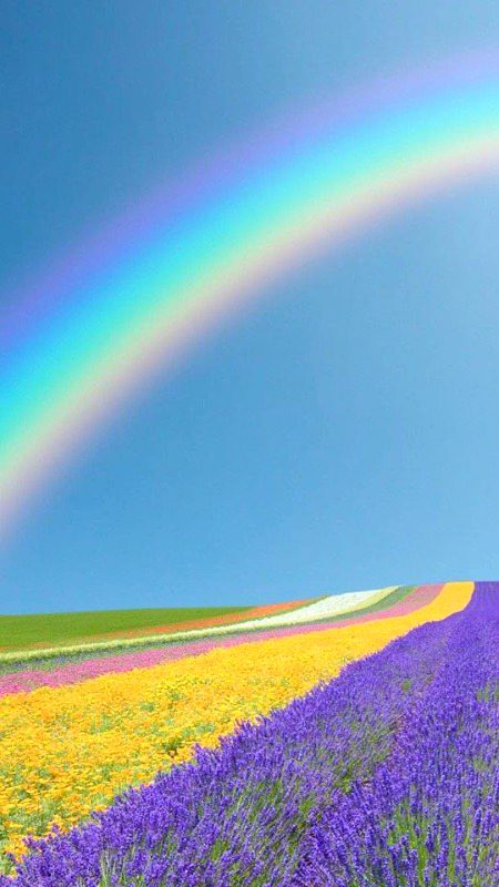 Beautiful Nature image