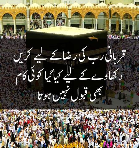 Motivational Quotes image