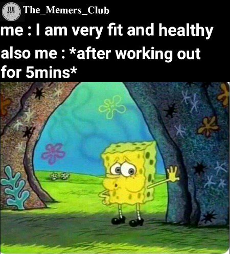 Memes & Satire image