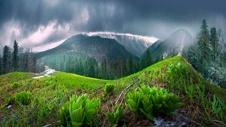 Beautiful Nature image