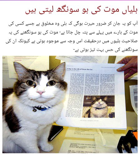 Interesting Posts image