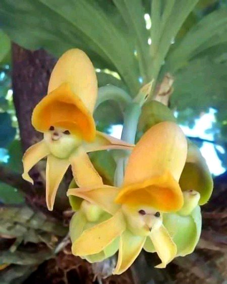 Beautiful Nature image