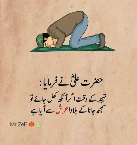 Islamic Quotes image