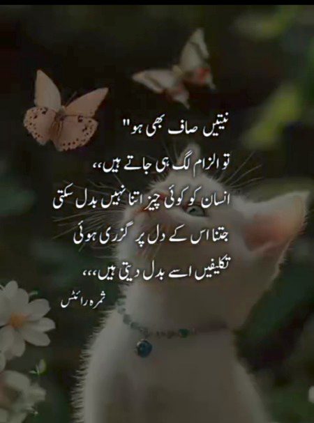 Sad Poetry image