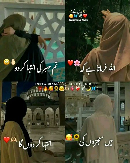 Islamic Quotes image