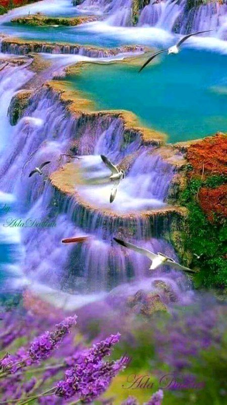 Beautiful Nature image