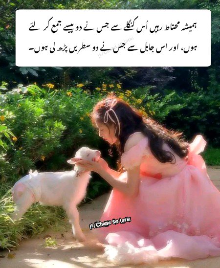 Memes & Satire image