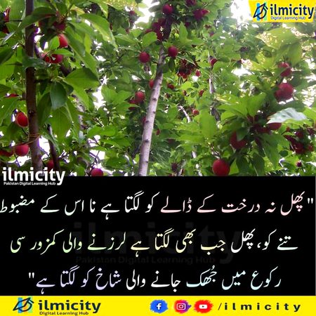 Social media post