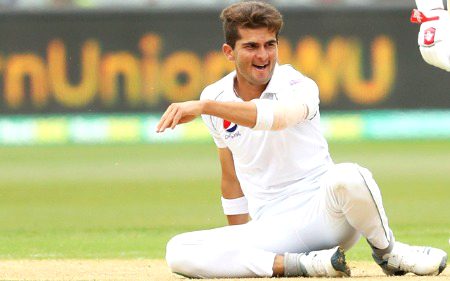 Pakistani Celebs image