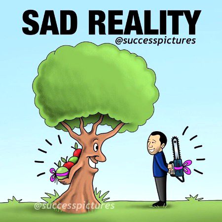 Life Advice image