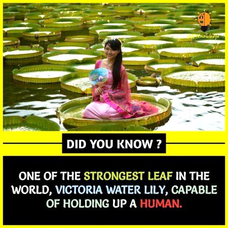 Interesting Posts image