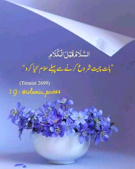 Islamic Quotes image