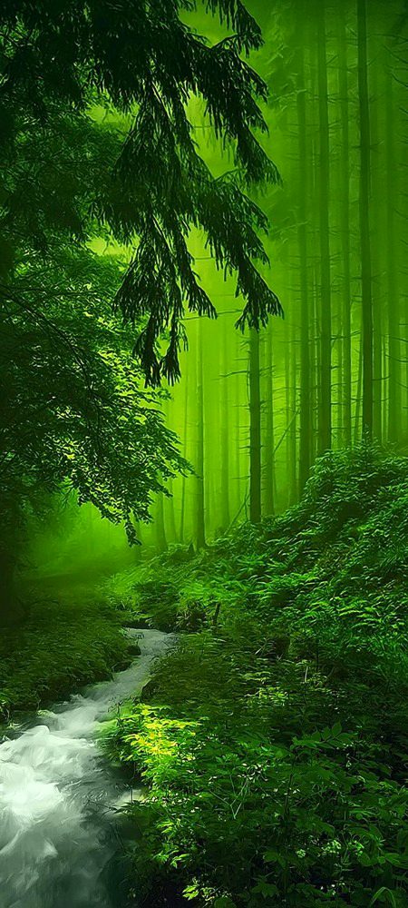 Beautiful Nature image