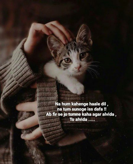 Social media post