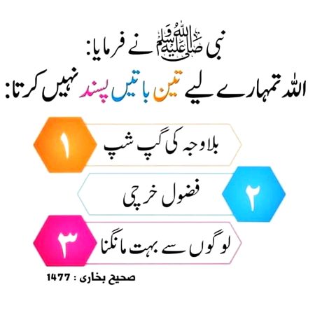 Islamic Quotes image