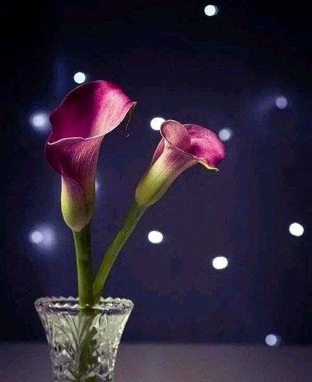 Beautiful Nature image