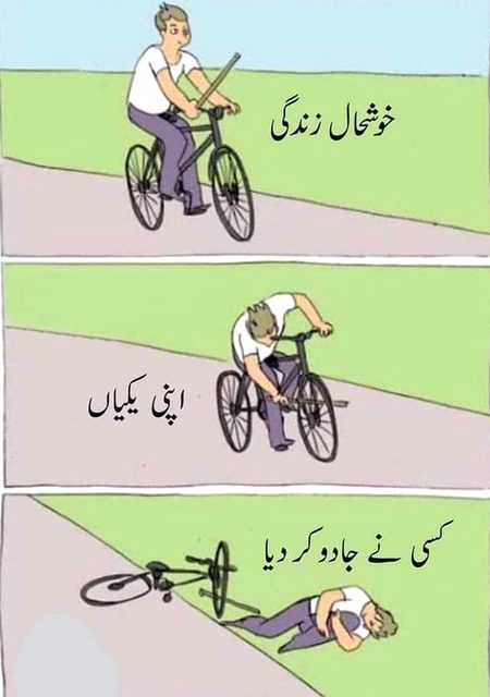 Memes & Satire image