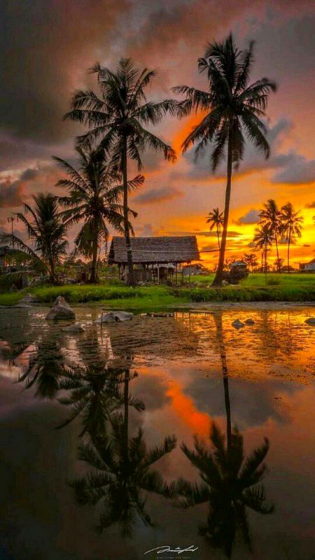 Beautiful Nature image