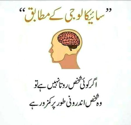 Interesting Posts image