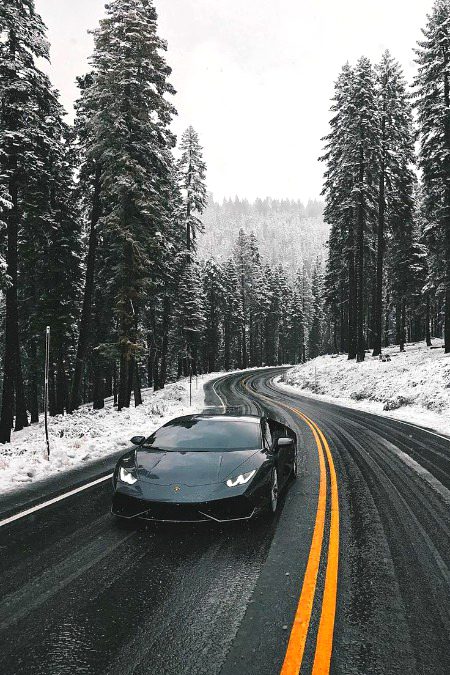 Beautiful Nature image