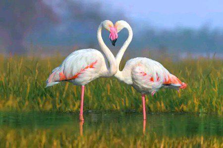 Beautiful Nature image