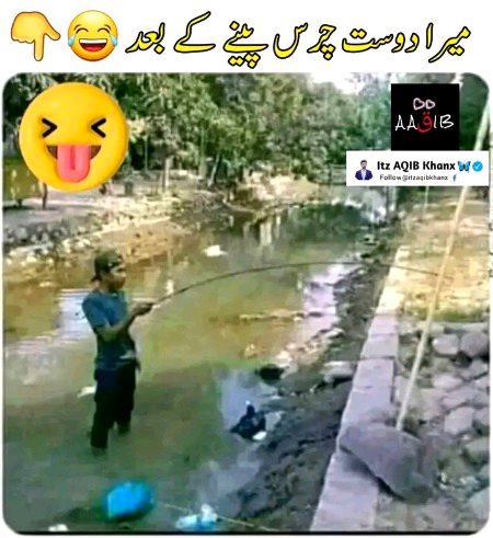 Memes & Satire image