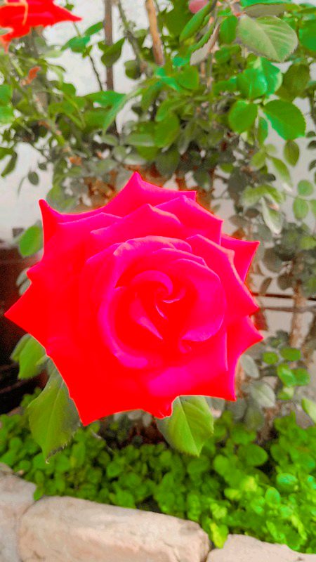 Beautiful Nature image