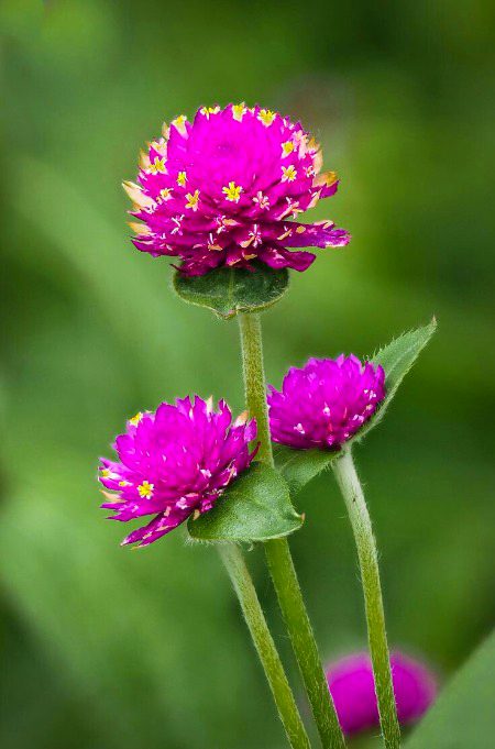Beautiful Nature image