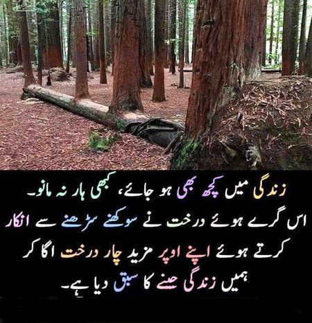 Motivational Quotes image