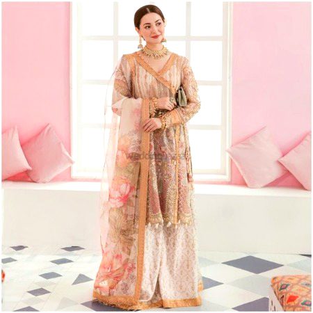 Pakistani Celebs image