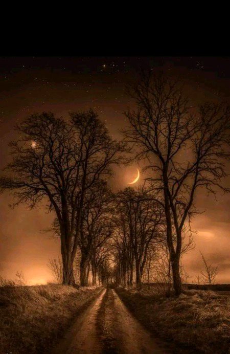 Beautiful Nature image