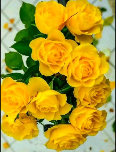 Beautiful Nature image