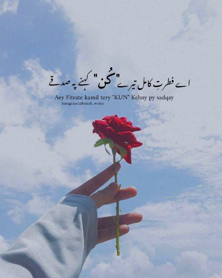 Islamic Quotes image
