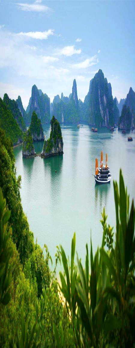 Beautiful Nature image