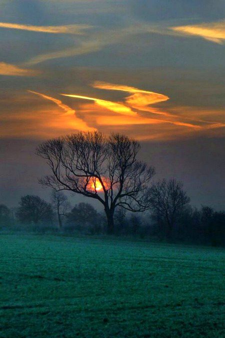 Beautiful Nature image