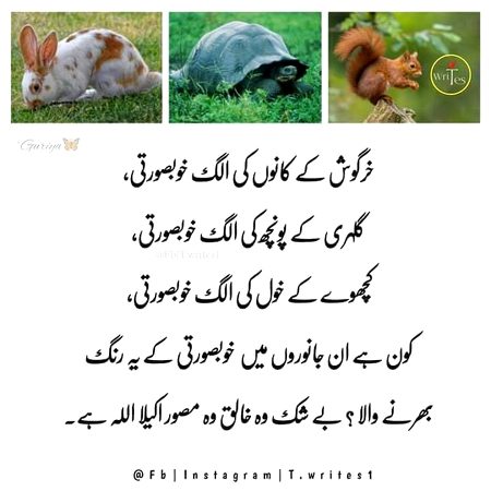 Islamic Quotes image