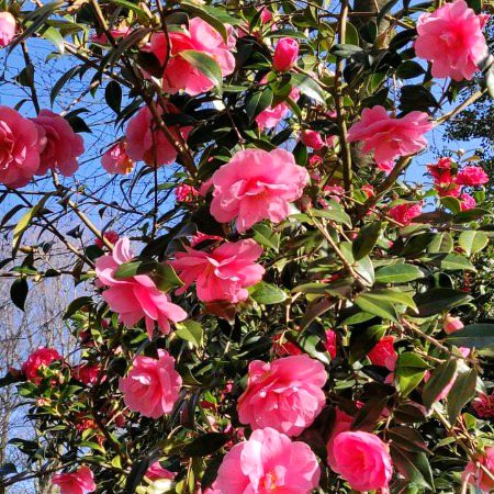 Beautiful Nature image