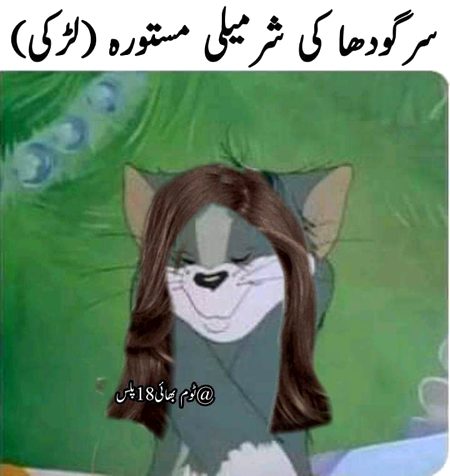 Memes & Satire image